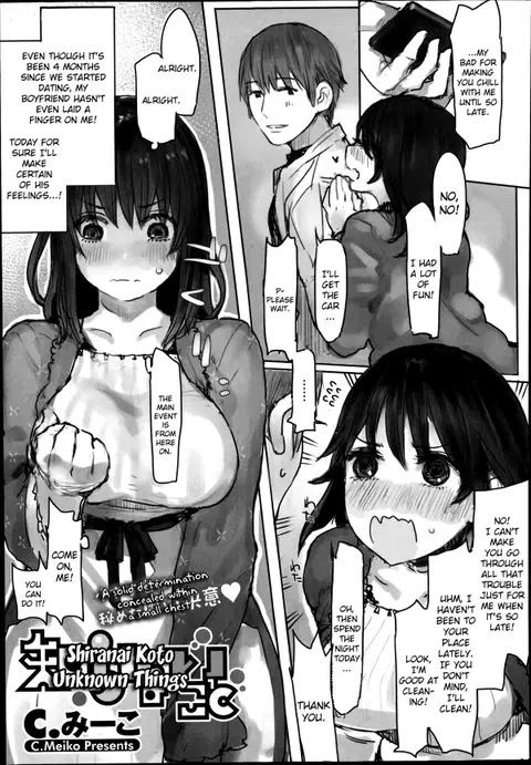 Shiranai Koto | Unknown Things (COMIC Megastore Alpha 2014-07) [English] [Brolen]