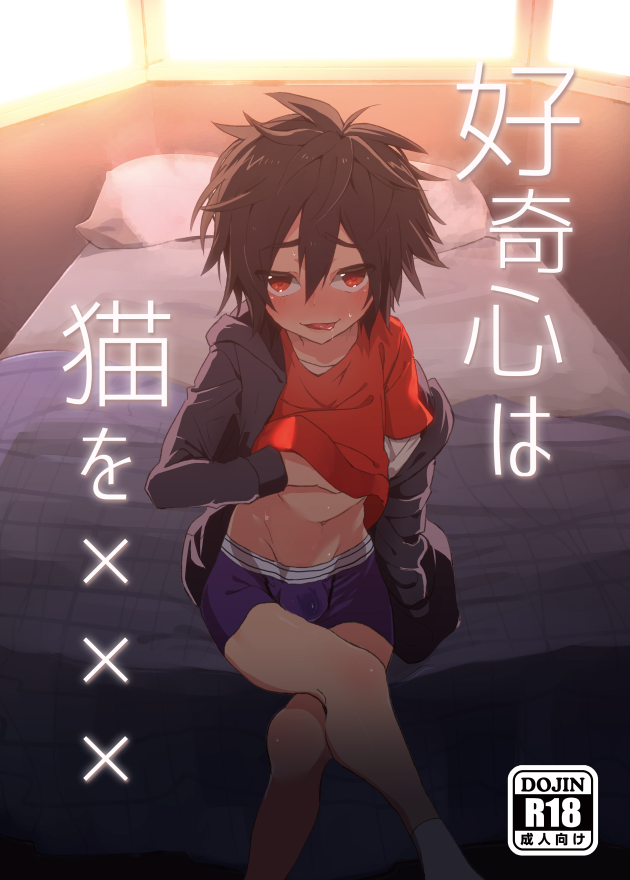 Koukishin wa Neko o XXX (Big Hero 6) [English] {ShotaChan}