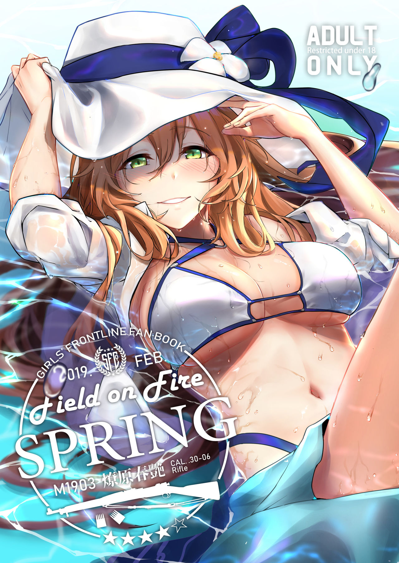 Field on Fire (Girls' Frontline)