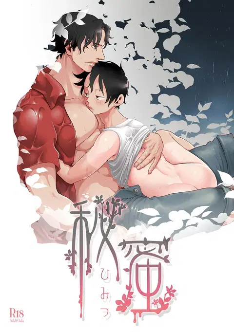 Himitsu | Secret (One Piece)