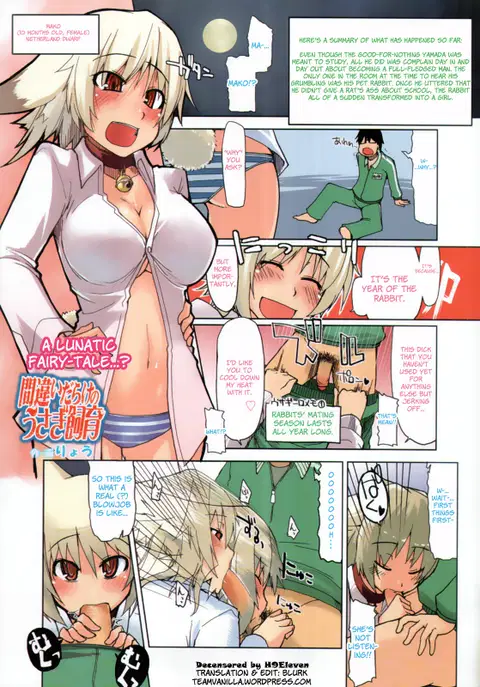 Machigai Darake no Usagi Shiiku | You're Doing It Wrong! (COMIC Tenma 2011-03) [English] =Team Vanilla=