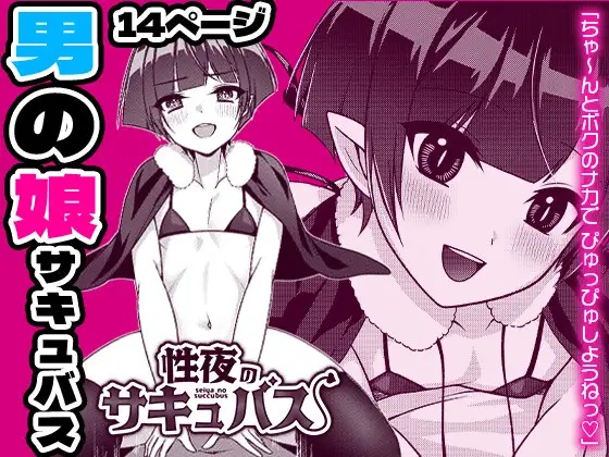 Seiya no Succubus | Hole(y) night Succubus [English] [TSHH]