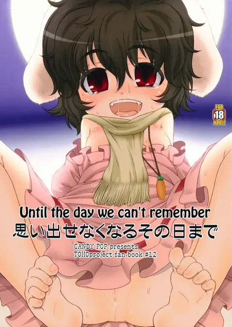 Omoidasenaku naru Sono Hi made | Until the Day We Can't Remember (Touhou Project)