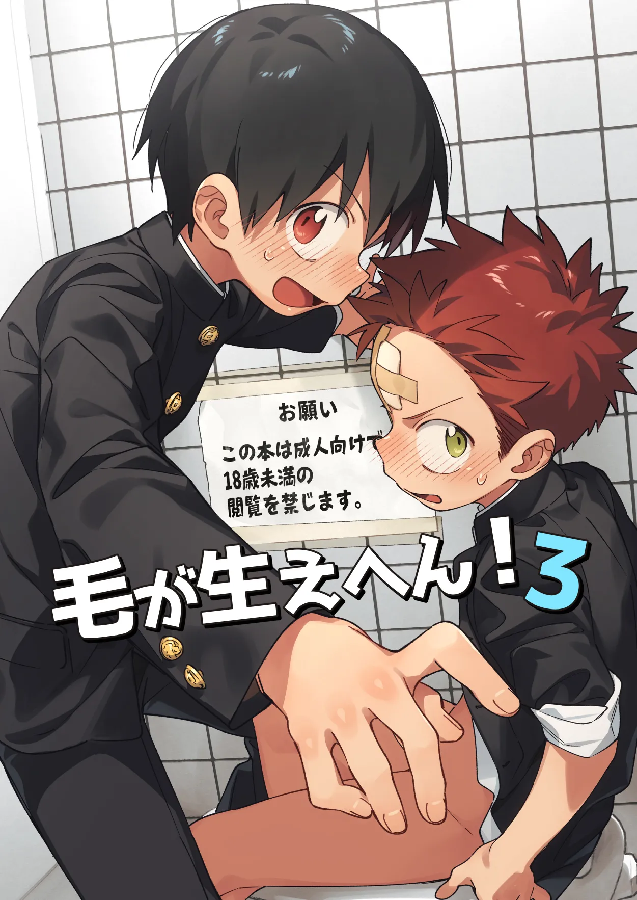 Ke ga Haehen! 3 [English] {Chin²}