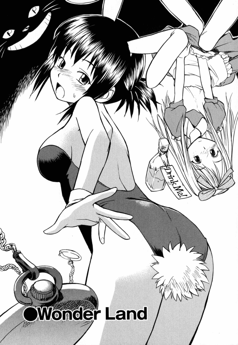 Wonder Land (from Uniform Devotion by Hinemosunotari)