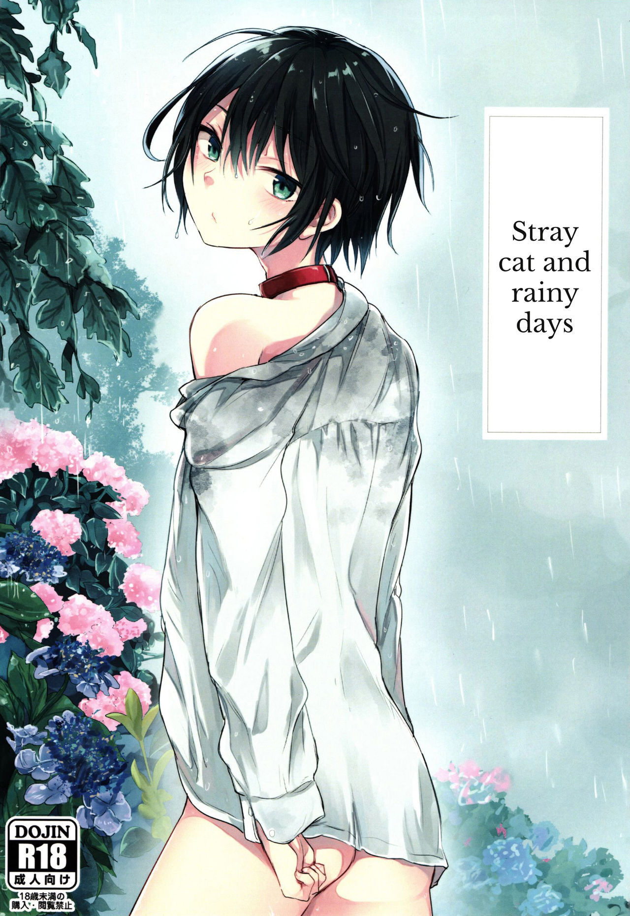 Nora Neko to Rainy Days [English] {Shotachan}