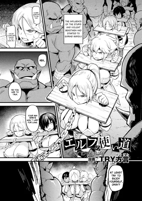 Elf no Tsukaimichi | The Way to Use Elves